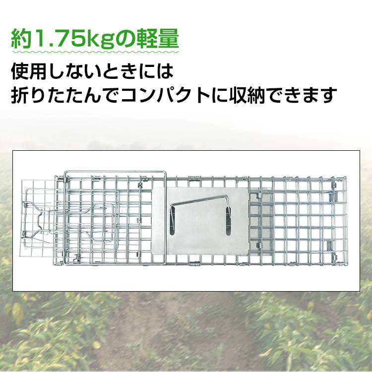 箱罠 捕獲器 折りたたみ 踏板式 Sサイズ 全長60.5cm アニマルトラップ