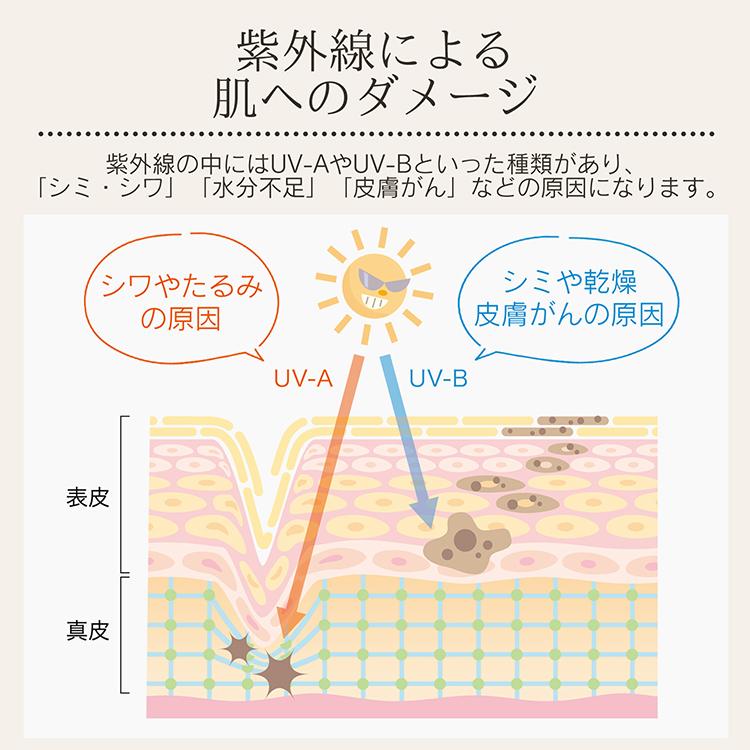 日傘 完全遮光 折りたたみ 軽量 花びら傘 UVカット 晴雨兼用 100% 遮光遮熱 長傘 レディース 日焼け防止 UPF50+ 紫外線 熱中症対策 フリル おしゃれ |  | 22