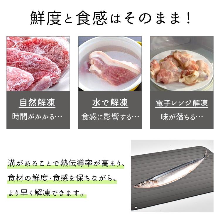 解凍プレート 急速解凍 まな板 解凍用プレート 自然解凍 解凍板 解凍皿