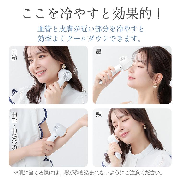 Hill Stone 扇風機 冷却 ハンディファン 2024 卓上扇風機 USB dc