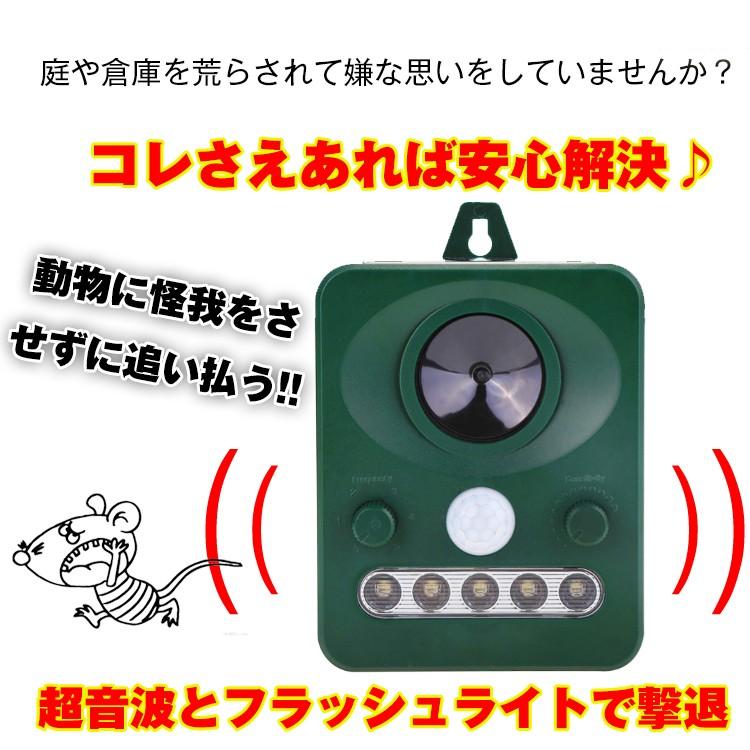 害獣駆除/Pest Control 害虫・害獣駆除 Pest Control | usajpn.com アメリカ生活 教育情報