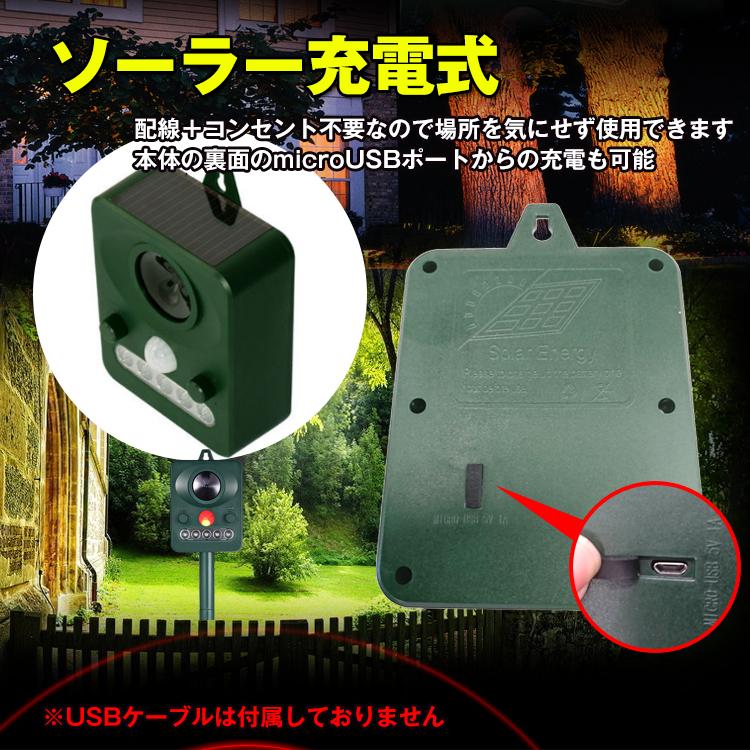 害獣駆除/Pest Control 害虫・害獣駆除 Pest Control | usajpn.com アメリカ生活 教育情報