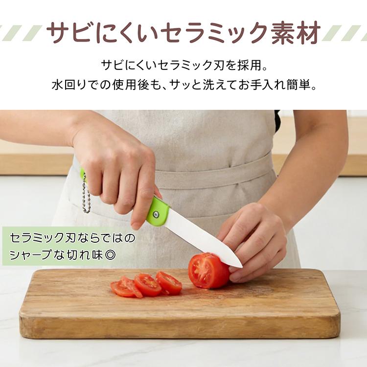 Hill Stone（ヒルストーン） 包丁 ペティナイフ ペティ 軽い 果物