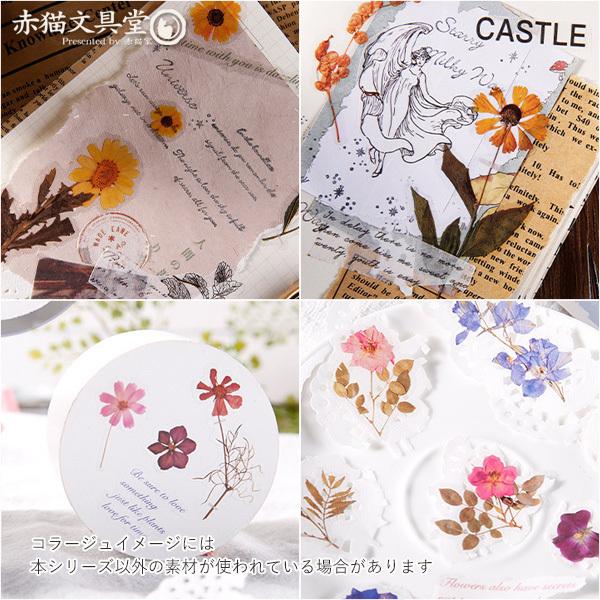 全5種 透明シール「ドライフラワー」0274 1100274 : 赤猫家(シーリング