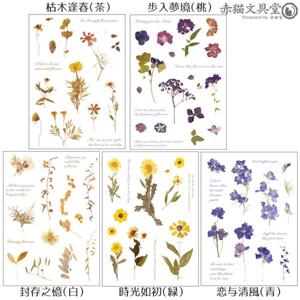 全5種 透明シール「ドライフラワー」0274 1100274 : 赤猫家(シーリング