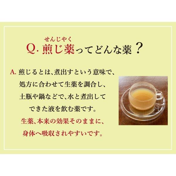 赤尾漢方薬局 半夏白朮天麻湯 ハンゲビャクジュツテンマトウ お手軽煎じ薬 5日分15包 胃腸が弱い人のめまい 頭痛 蓄膿症 薬局製剤 はんげ ...