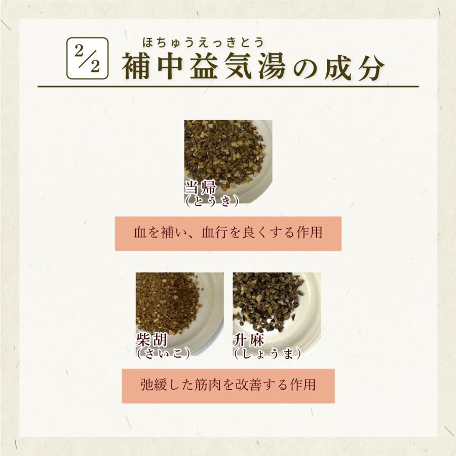 ほ ちゅう え きっと う