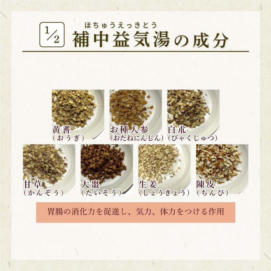 ほ ちゅう え きっと う