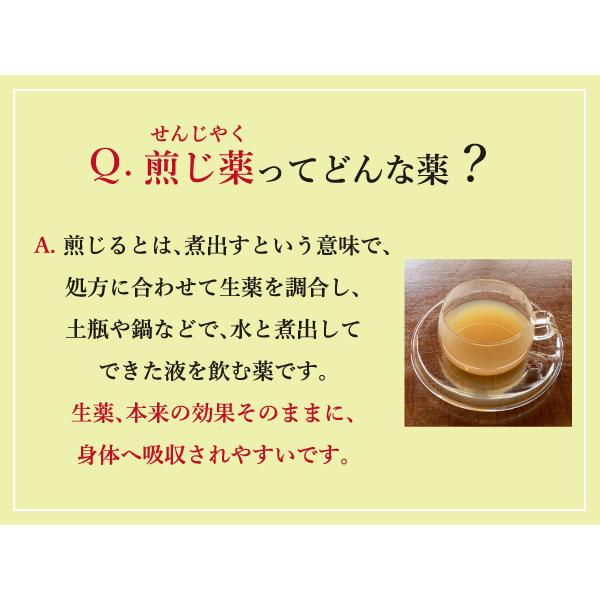 甘草瀉心湯 カンゾウシャシントウ お手軽煎じ薬 10日分30包 胃炎 腸炎 口内炎 口臭 不眠症 神経症 イライラ 吐き気 薬局製剤 かんぞうしゃしんとう｜akaokanpou｜04