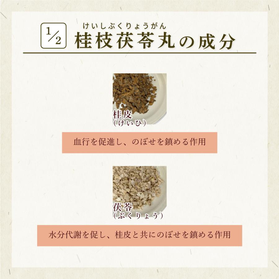 桂枝茯苓丸 桂枝茯苓丸料A ケイシブクリョウガン 三和生薬 エキス細粒90包 月経痛 更年期障害 肩こり にきび しみ 第2類医薬品 けいしぶくりょうがん_2