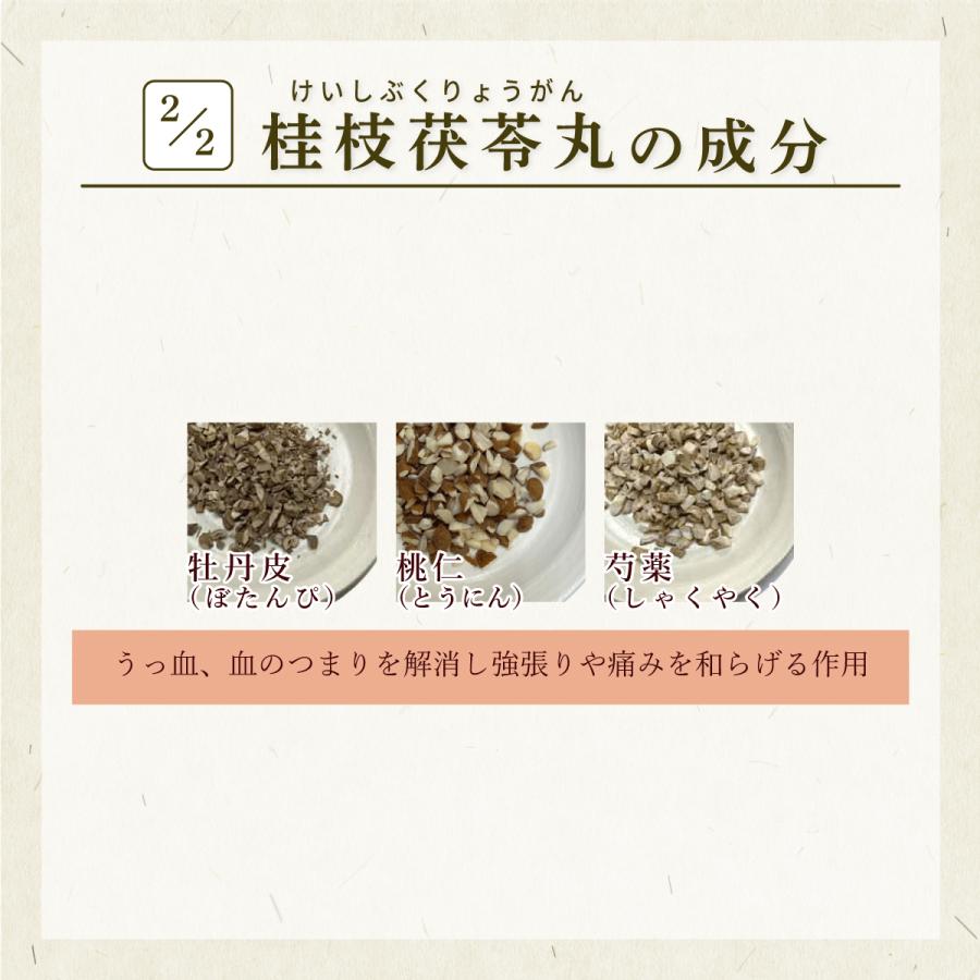 桂枝茯苓丸 桂枝茯苓丸料A ケイシブクリョウガン 三和生薬 エキス細粒90包 月経痛 更年期障害 肩こり にきび しみ 第2類医薬品 けいしぶくりょうがん_3
