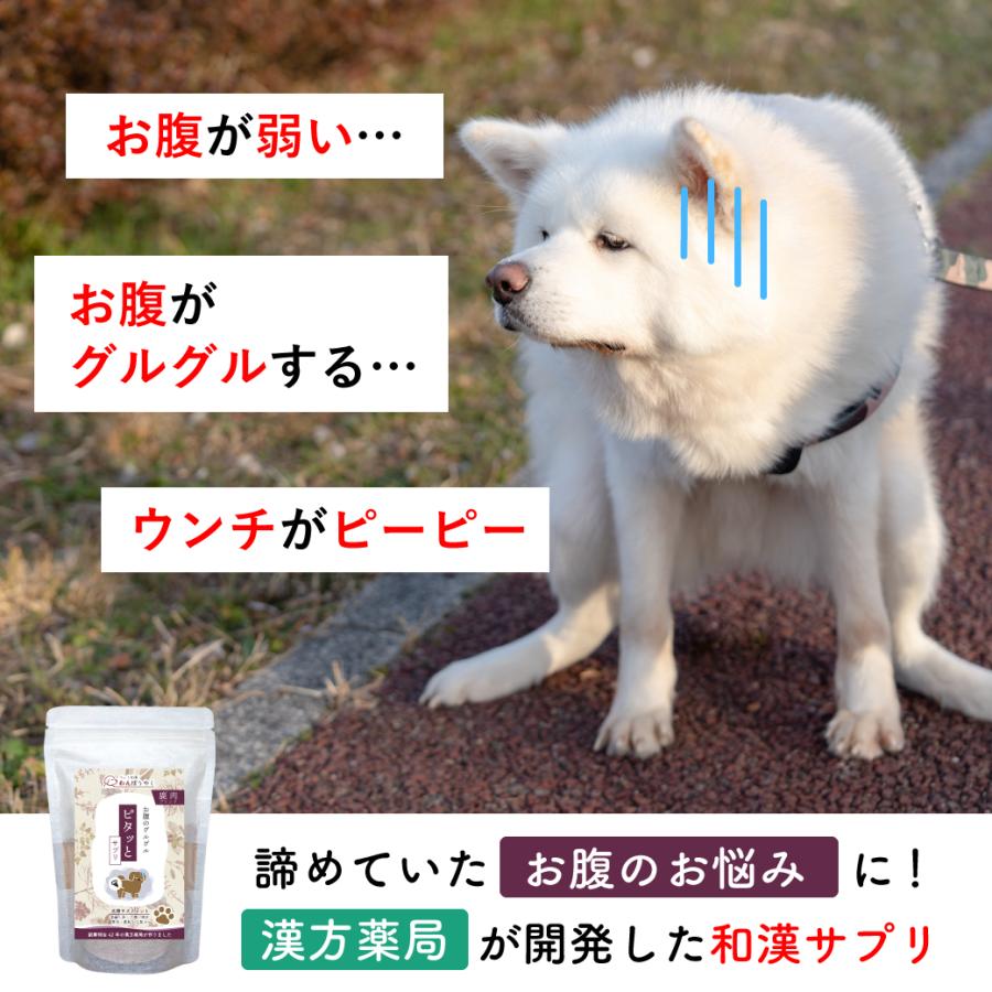 わんぽうやく ピタッとサプリ 和漢素材20g 犬用サプリメント 赤尾
