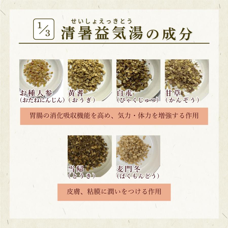 清 暑 益 気 湯