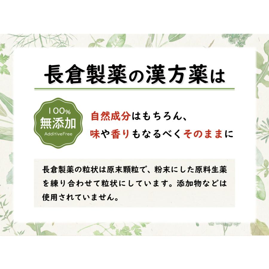 細辛 エキス加 さいしん 長倉製薬 単味粒状 100g 鎮咳 無添加 第2類医薬品 サイシン