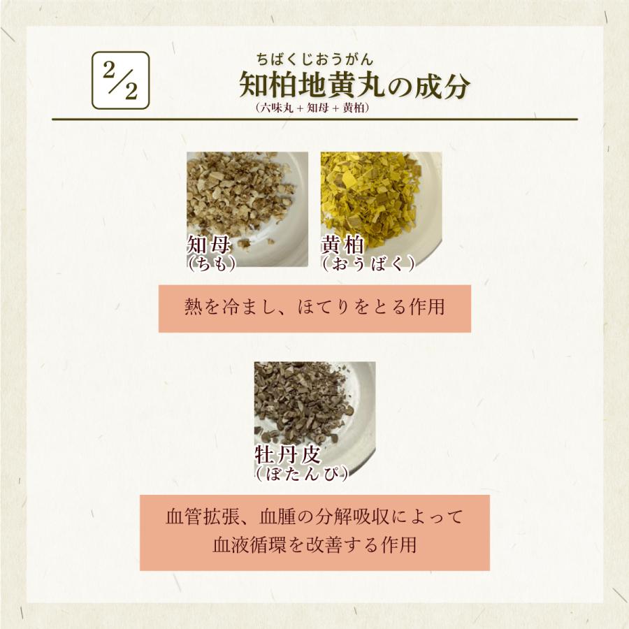 赤尾漢方薬局 知柏地黄丸 チバクジオウガン 煎じ薬 20日分 排尿困難 頻