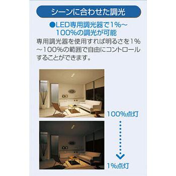 DAIKO（ダイコー） DDL4971AWG 大光電機 ダウンライト 埋込穴Φ100 白熱