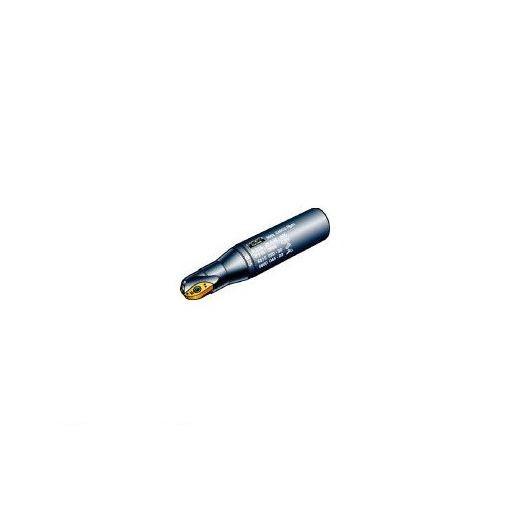 サンドビック（ＳＶ） ［R21632B32100］ コロミルR216ボールエンドミル 607-5533【取りやめる不可】 園芸用品-花、ガーデニング