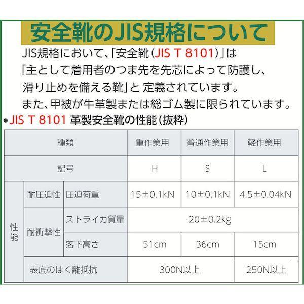 あすつく対応 「直送」 ミドリ安全（ミドリ安全） ［G3551BK25.5］ レザースニーカータイプ安全靴 Ｇ３５５１ ２５．５ 447-7847_5