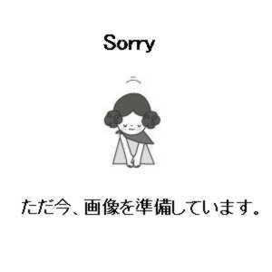 スリーボンド ［691B］ 40個入 691B 板金用ブチルテープ ポイント5倍(48787円)