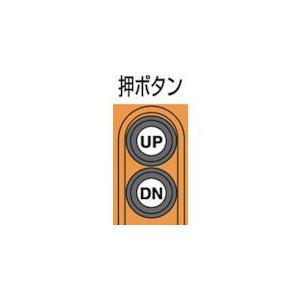 象印 AH-K1630 直送 代引不可 単相２００Ｖ小型電気チェーンブロック １速型 １６０ＫＧ・３Ｍ αＨ−０１６ ３ｍ AHK1630