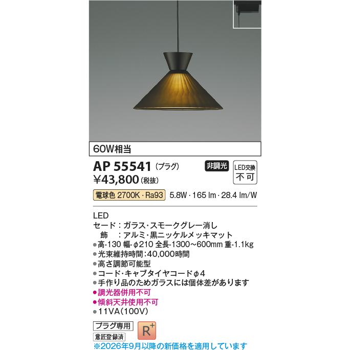 KOIZUMI（コイズミ） 安心のメーカー保証 【インボイス対応店】AP55541 