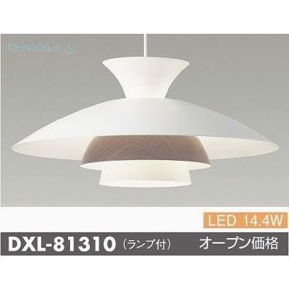 大光電機 安心のメーカー保証 【インボイス対応店】DXL81310