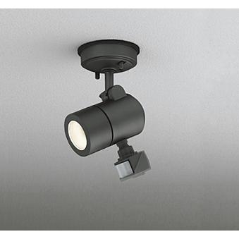 OG254561LR（ランプ別梱包）『OG254561#＋NO257EL』 オーデリック照明器具 屋外灯 スポットライト LED :OG254561LR:あかりのAtoZ - 通販