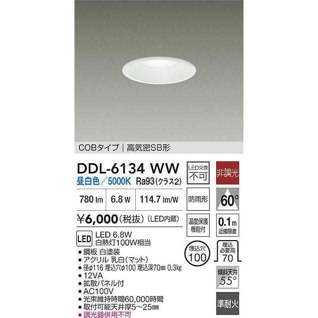大光電機 安心のメーカー保証【送料無料】大光電機 DDL-6134WW 屋外灯