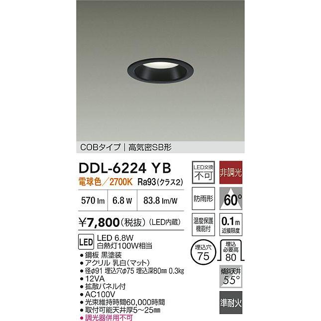 大光電機 安心のメーカー保証【送料無料】大光電機 DDL-6224YB 屋外灯