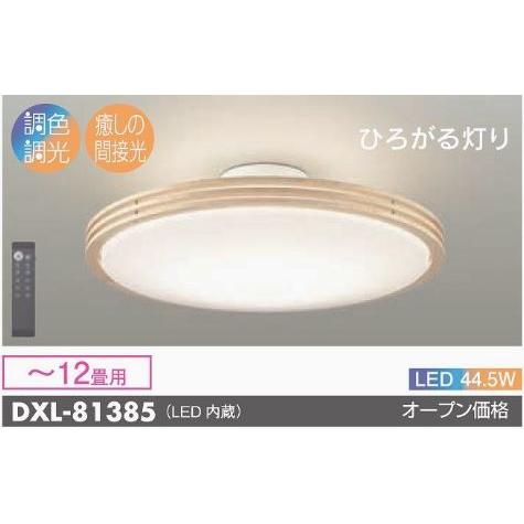 安心のメーカー保証【送料無料】大光電機照明器具 DXL-81385