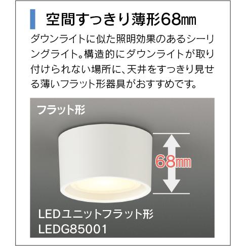 TOSHIBA（東芝） 電球色ランプ付 不透過セード 屋内 小形シーリング