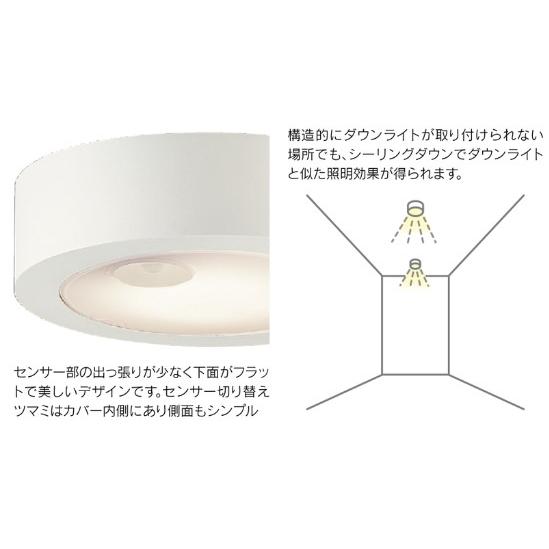 TOSHIBA（東芝） 温白色 材質ホワイト 白熱灯100Wクラス 屋内 センサー