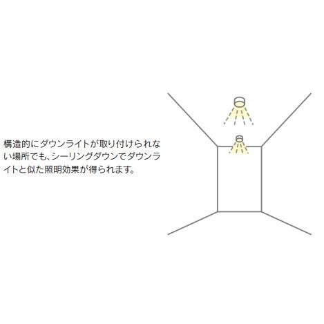TOSHIBA（東芝） 電球色 材質ブラック 白熱灯100Wクラス 屋外(軒下)用