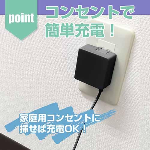 ALLONE アローン ALG-FCACBK 任天堂 ファミコン スーパーファミコン