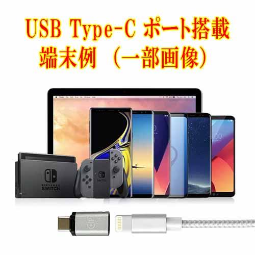 ルーメン USB Type-Cメス ⇒ Lightningオス 変換アダプタ 充 Amazon.co.jp: Lumen ルーメン Lightningメス ⇒ USB Type-Cオス 変換