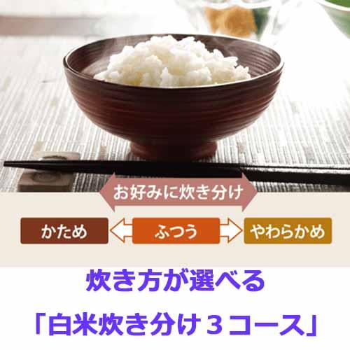 象印（ZOJIRUSHI） 極め炊き NL-DB10【5.5合】ハイパワー マイコン炊飯