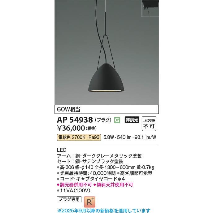 AP54938  照明器具 LEDペンダント (プラグ)・レール専用 LED（電球色） コイズミ照明(PC)_1