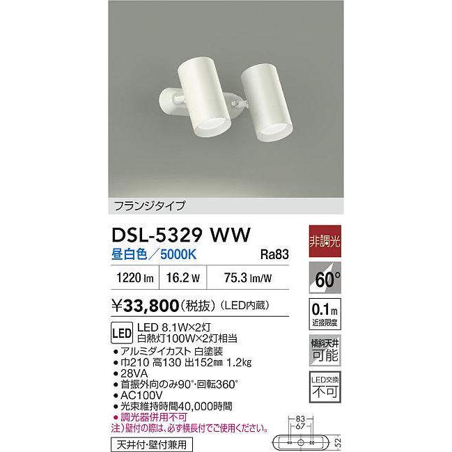 大光電機 DSL-5329WW スポットライト (白熱灯100W×2灯相当) LED 8.1W×2