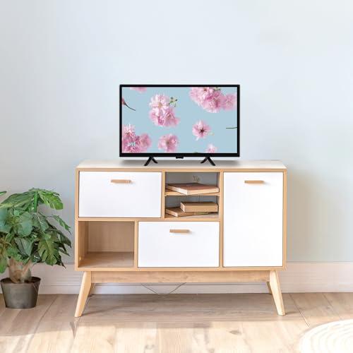 オリオン 24V型 ハイビジョン液晶テレビ 地デジ/BS/CSチューナー搭載