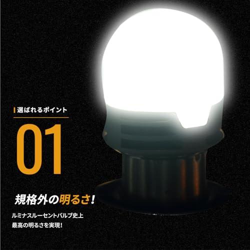 Takenous トラック野郎御用達 竹村商会 S25 LED シングル ホワイト