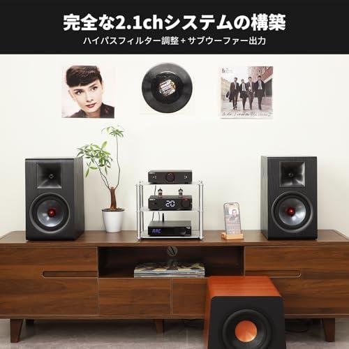 AIYIMA A20 ステレオアンプ TPA3255 2.1 チャンネル HiFi フルバランス