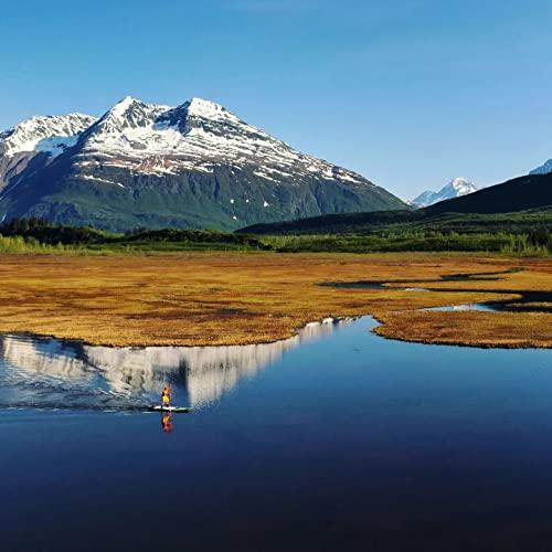 WOWSEA Flyfish F2 SUP サップ アップパドルボード サップボード 12365cm×3281.5cm×615cm グリーン  E2502673903(22106円)