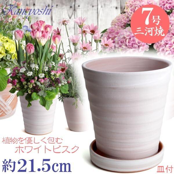 鉢 三河焼 KANEYOSHI 日本製/安心の国産品質 陶器 植木鉢 フラワー