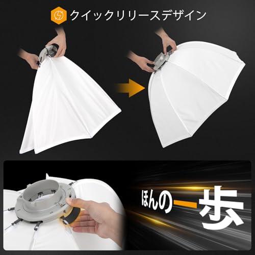 TARION 逆八角形 ソフトボックス ワンタッチ 折りたたみ式ソフト