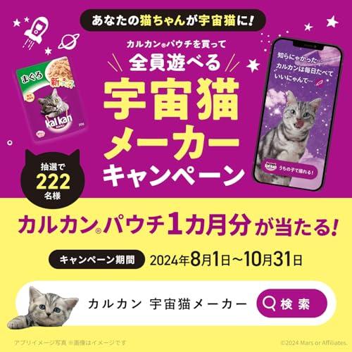 カルカン パウチ 子猫用 70g×36袋 やわらかチキン 離乳~12か月まで 子