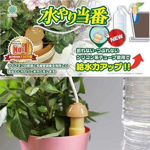 マルハチ産業Maruhachi Sangyo 自動給水器 水やり当番M 8個セット 植物