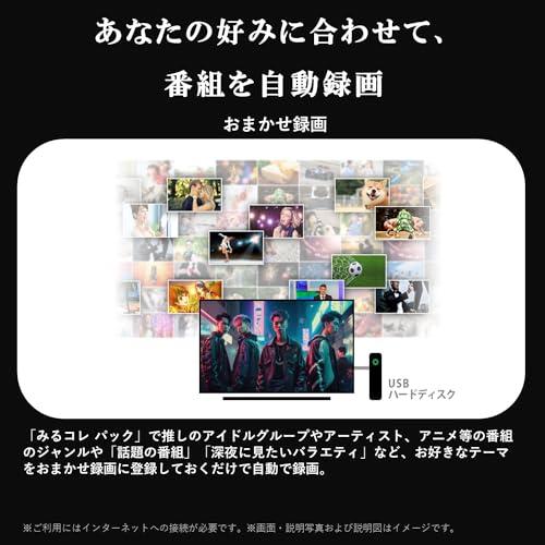 REGZA「V35Nシリーズ（24インチ、2024年モデル） REGZA 24インチ Airplay ネット動画対応 ハイビジョン V35Nシリーズの