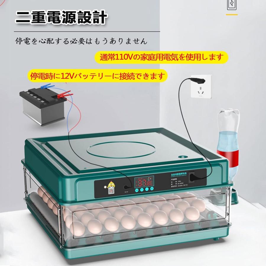 インキュベーター 最新 自動孵卵器 孵化器 自動転卵 検卵ライト インキュベーター 最新 自動孵卵器 孵化器 自動転卵 検卵ライト
