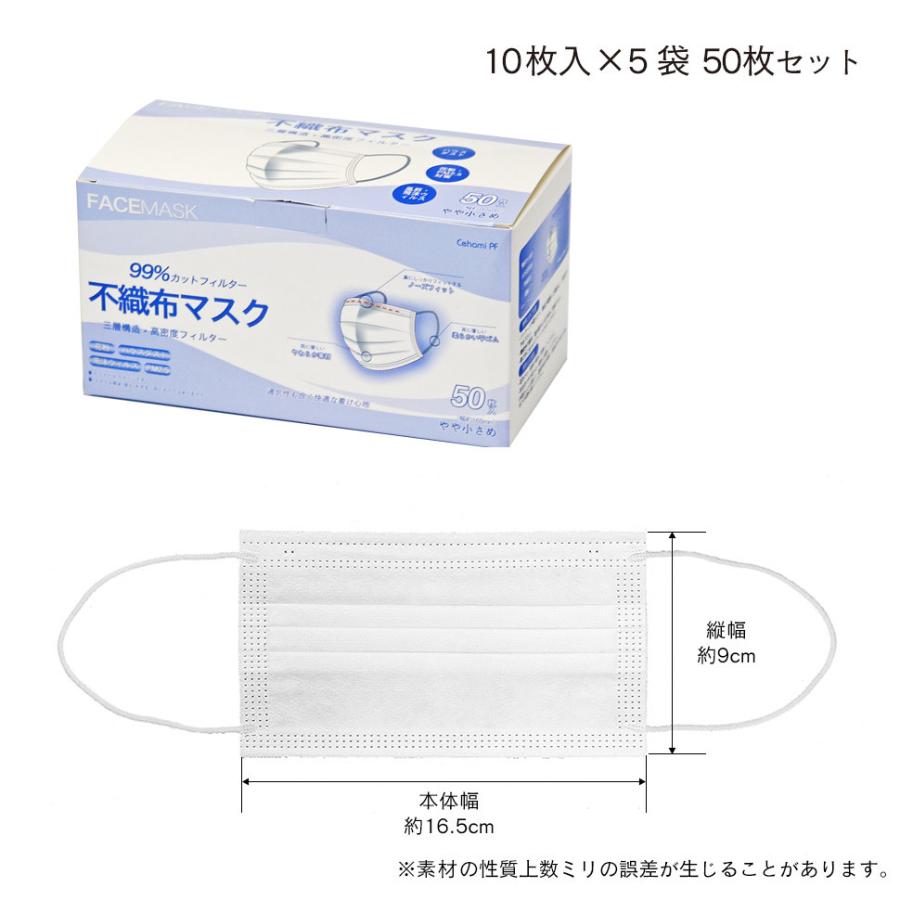 マスク 不織布 小さめ 白 16.5cm×9cm 平ゴム 99％カットフィルター