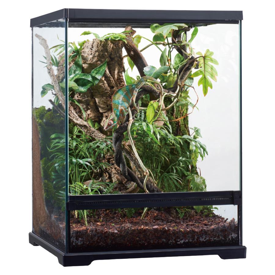 グラステラリウム ドレイン 4560 ドレイン